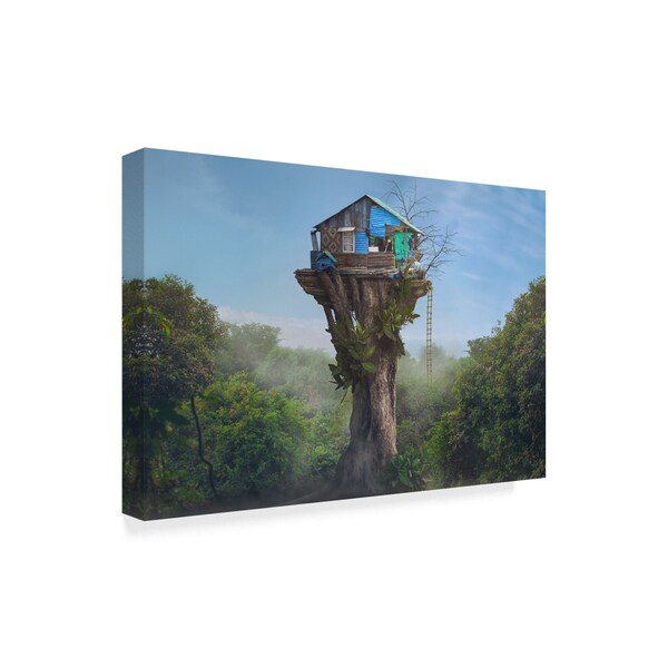 Sulaiman Almawash 'House In The Sky' Canvas Art,16x24